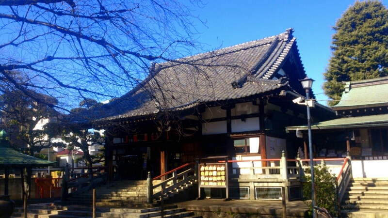 c0202101_131344.jpg