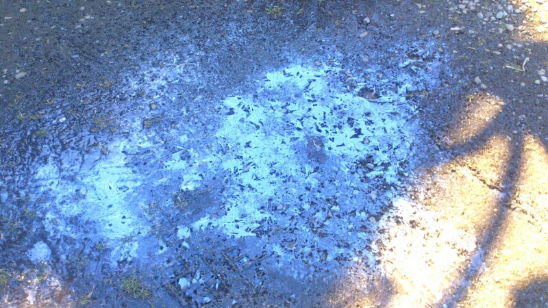 c0202101_13162574.jpg