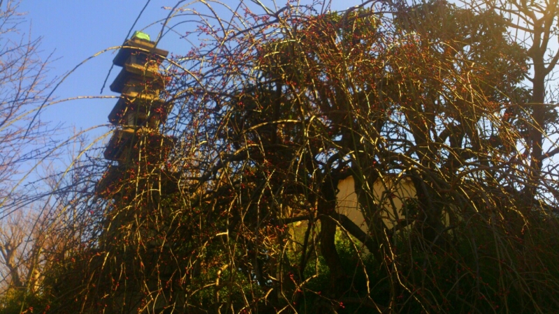 c0202101_1317376.jpg
