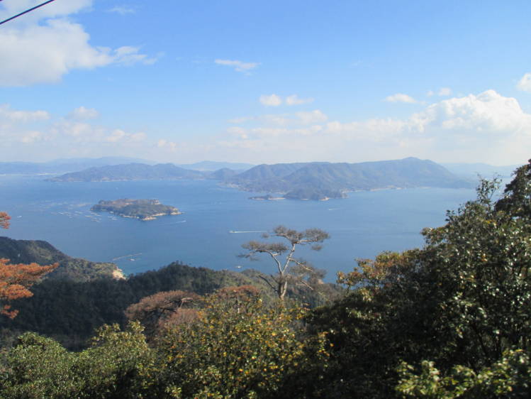 f0031304_7212892.jpg