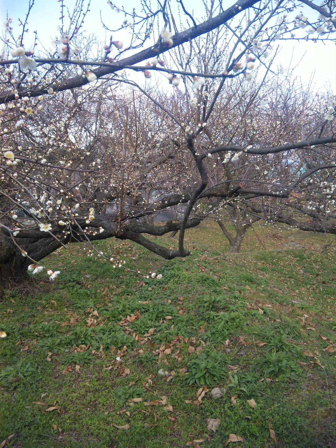 a0212807_2227045.jpg