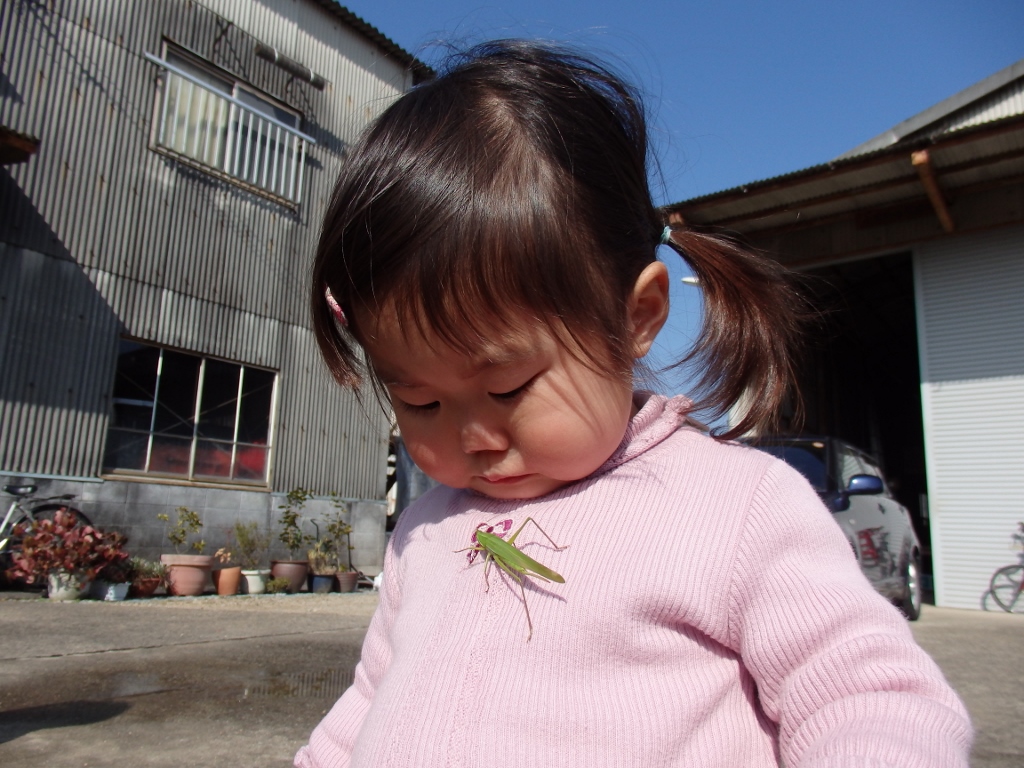 a0274324_22153095.jpg
