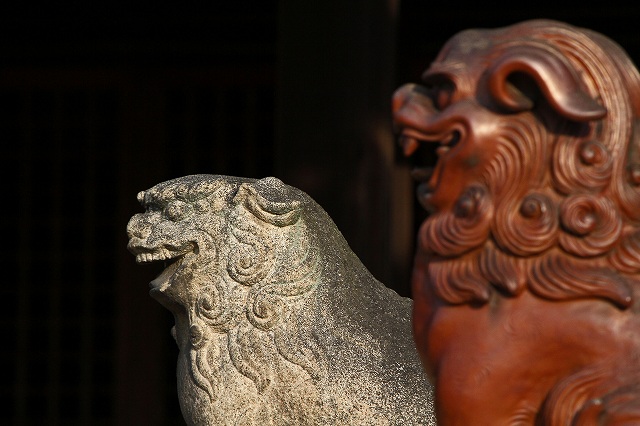 a0242438_21281597.jpg