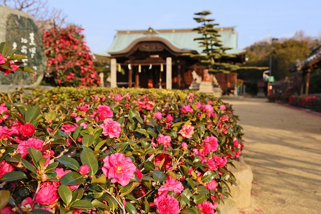 a0242438_21292799.jpg