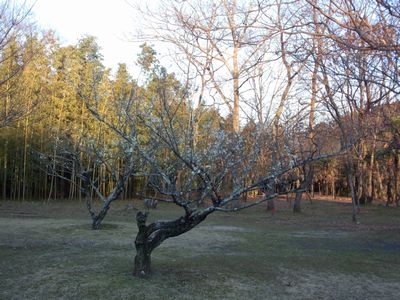 c0211540_18494452.jpg