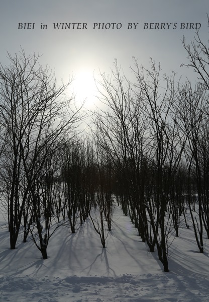 e0173743_231366.jpg