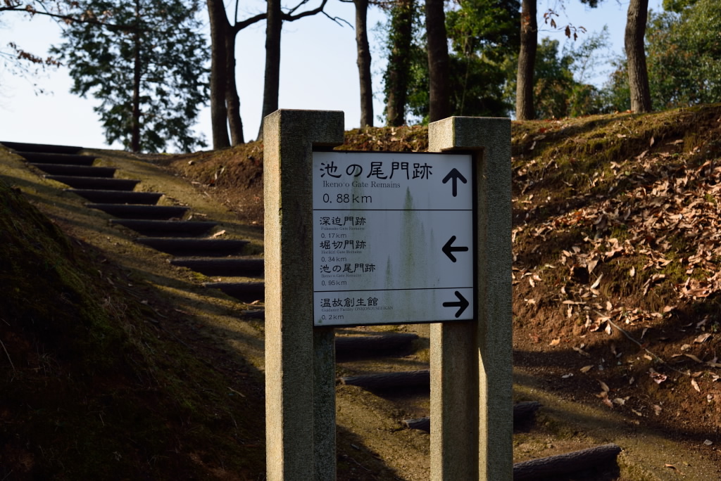 b0190445_18123955.jpg