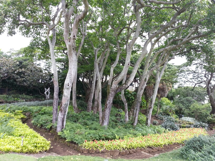 b0126453_5473586.jpg