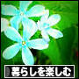 d0026872_19331549.jpg