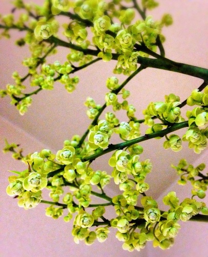 c0322890_01554107.jpg