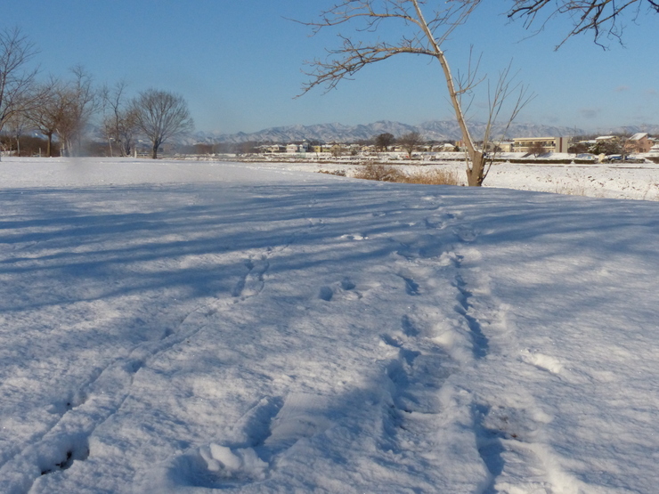 c0324393_21211145.jpg