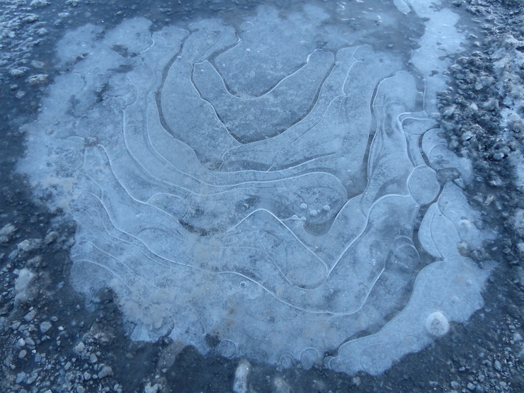 c0324393_21254211.jpg
