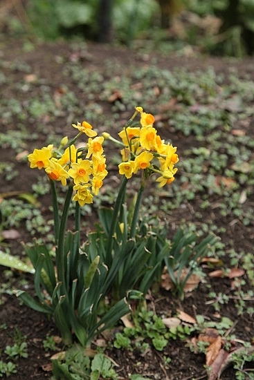 e0209997_1135588.jpg