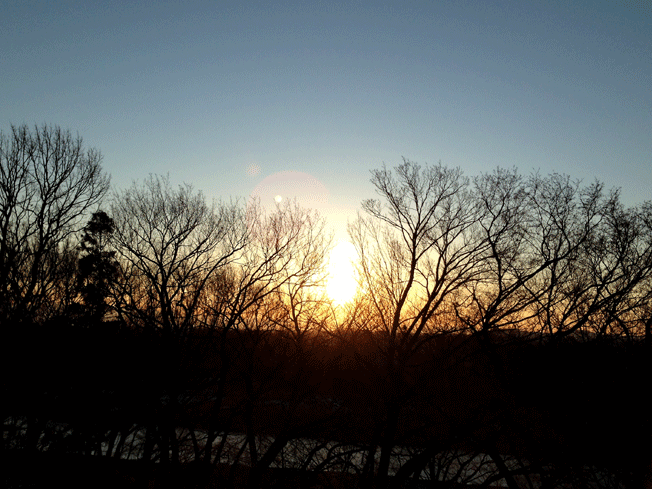 f0242397_18012829.png