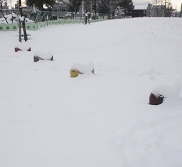 b0168801_18233751.jpg