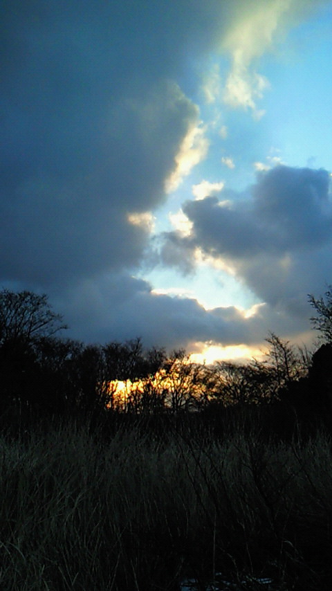 d0149105_747274.jpg