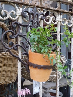 c0167112_1749087.jpg