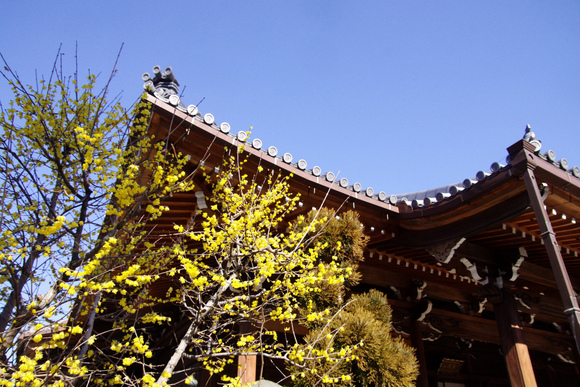 d0250028_8142224.jpg