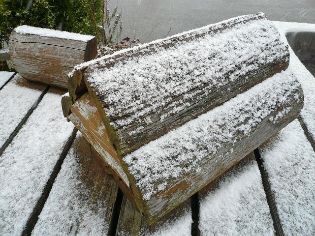 a0162330_1021454.jpg