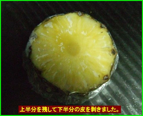 c0004734_21452280.jpg