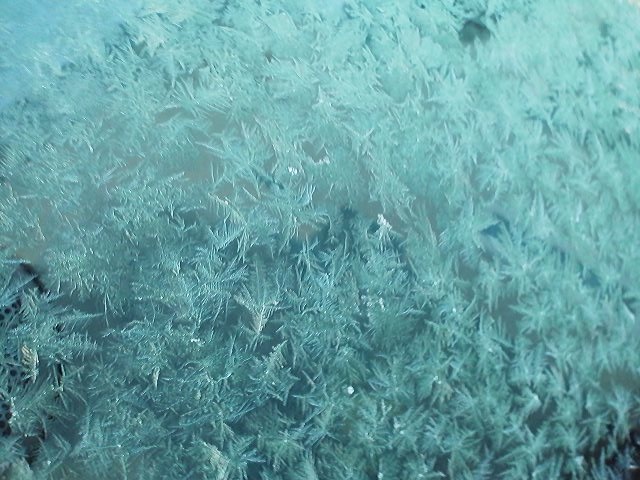 a0272241_90090.jpg