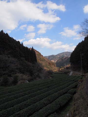 b0199742_6311767.jpg