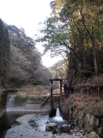 b0199742_6321311.jpg