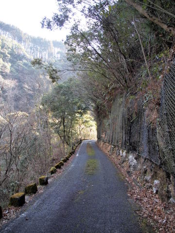 b0199742_636315.jpg