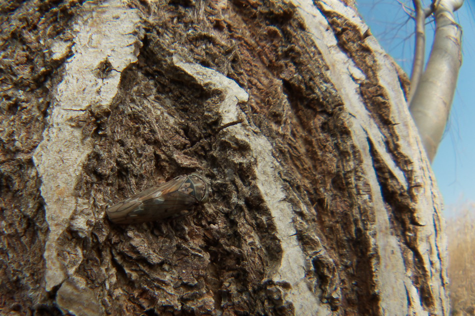 f0090680_10271552.jpg