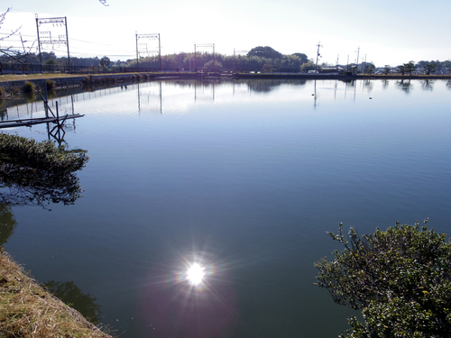 c0051781_1753137.jpg