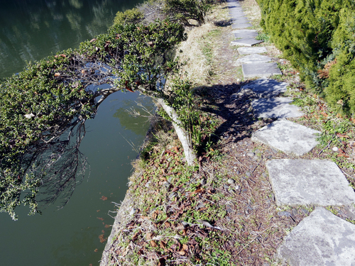 c0051781_17541355.jpg