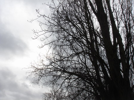 a0247585_5505529.jpg