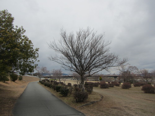 a0251786_200860.jpg