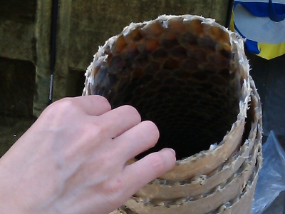 b0098997_04460155.jpg