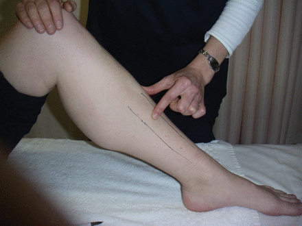 b0112009_2345178.gif