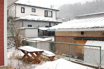 b0259218_257361.jpg