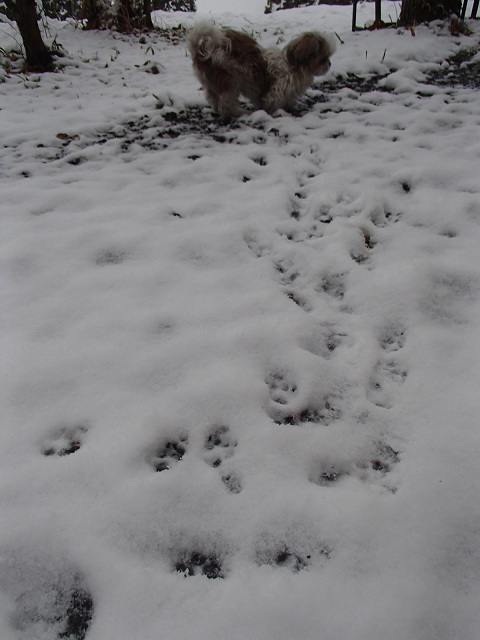 f0031420_9464822.jpg