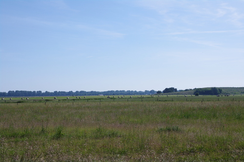 d0023725_23174110.jpg
