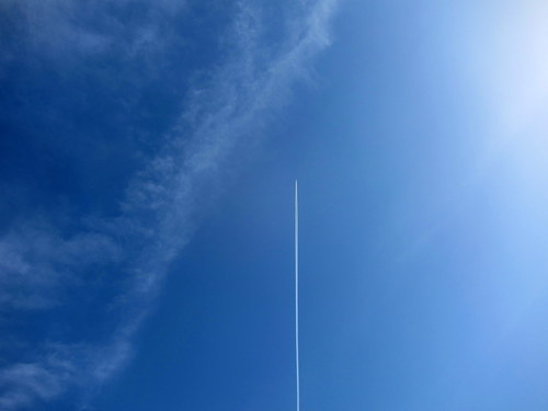 b0178339_172463.jpg