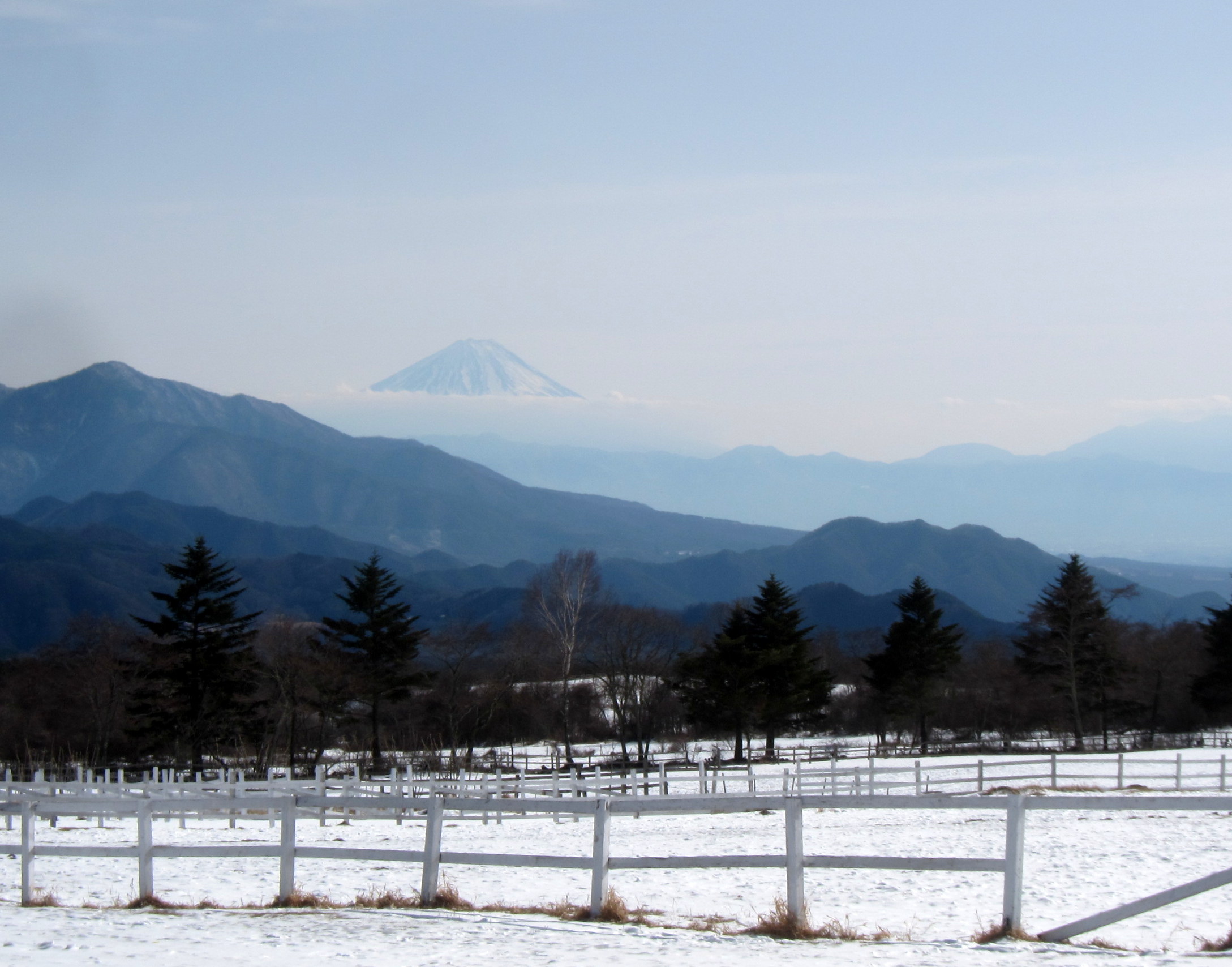 b0178339_177965.jpg