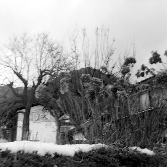 d0089742_23362114.jpg