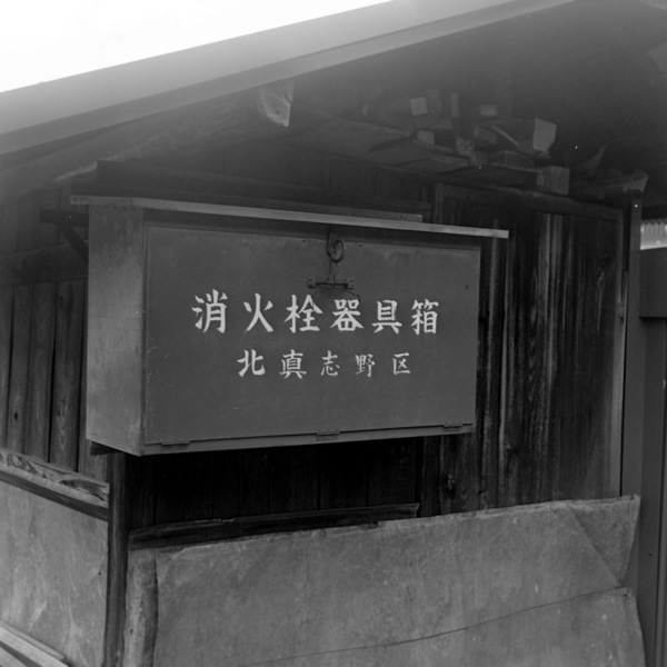 d0089742_23371287.jpg