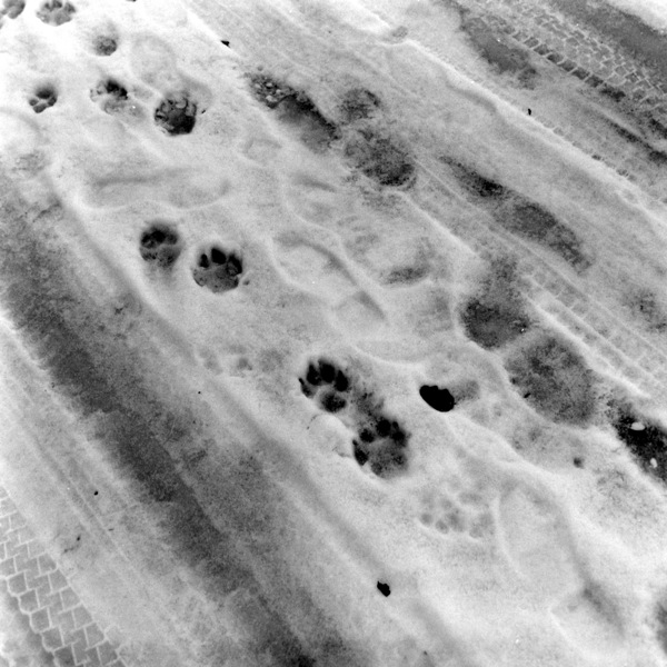 d0089742_23373146.jpg