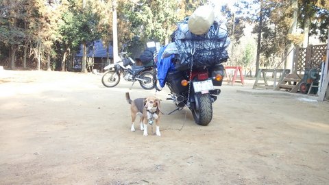 f0046250_1642338.jpg