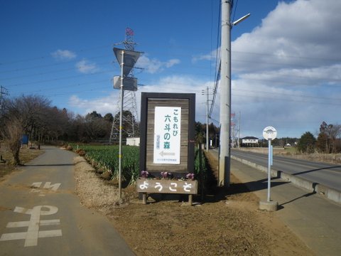 f0046250_1648425.jpg