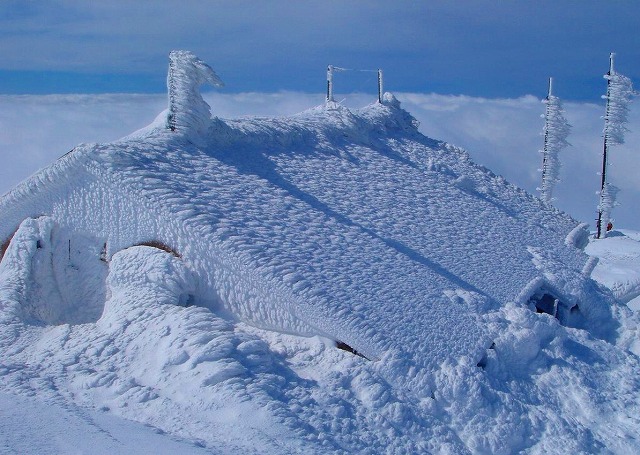 c0219866_17142013.jpg