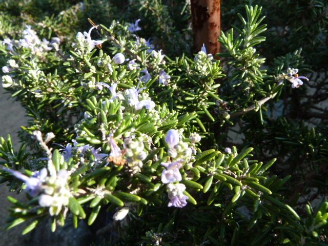 e0278968_23112629.jpg