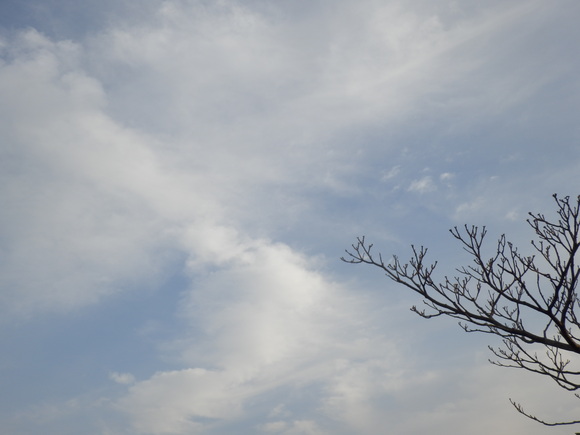 e0292172_20523450.jpg