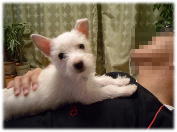 b0242873_02004525.png