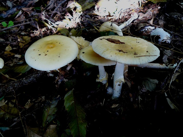 d0019074_10175673.jpg